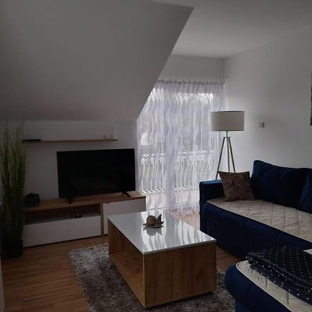 Apartman Giovanni Arandjelovac Bagian luar foto