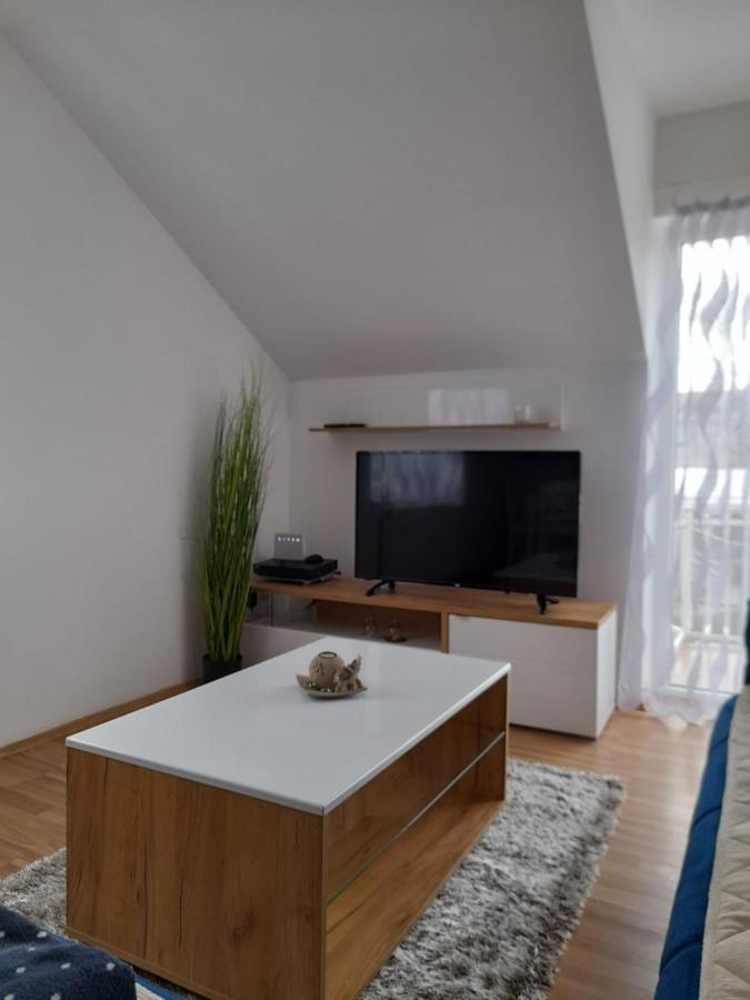 Apartman Giovanni Arandjelovac Bagian luar foto